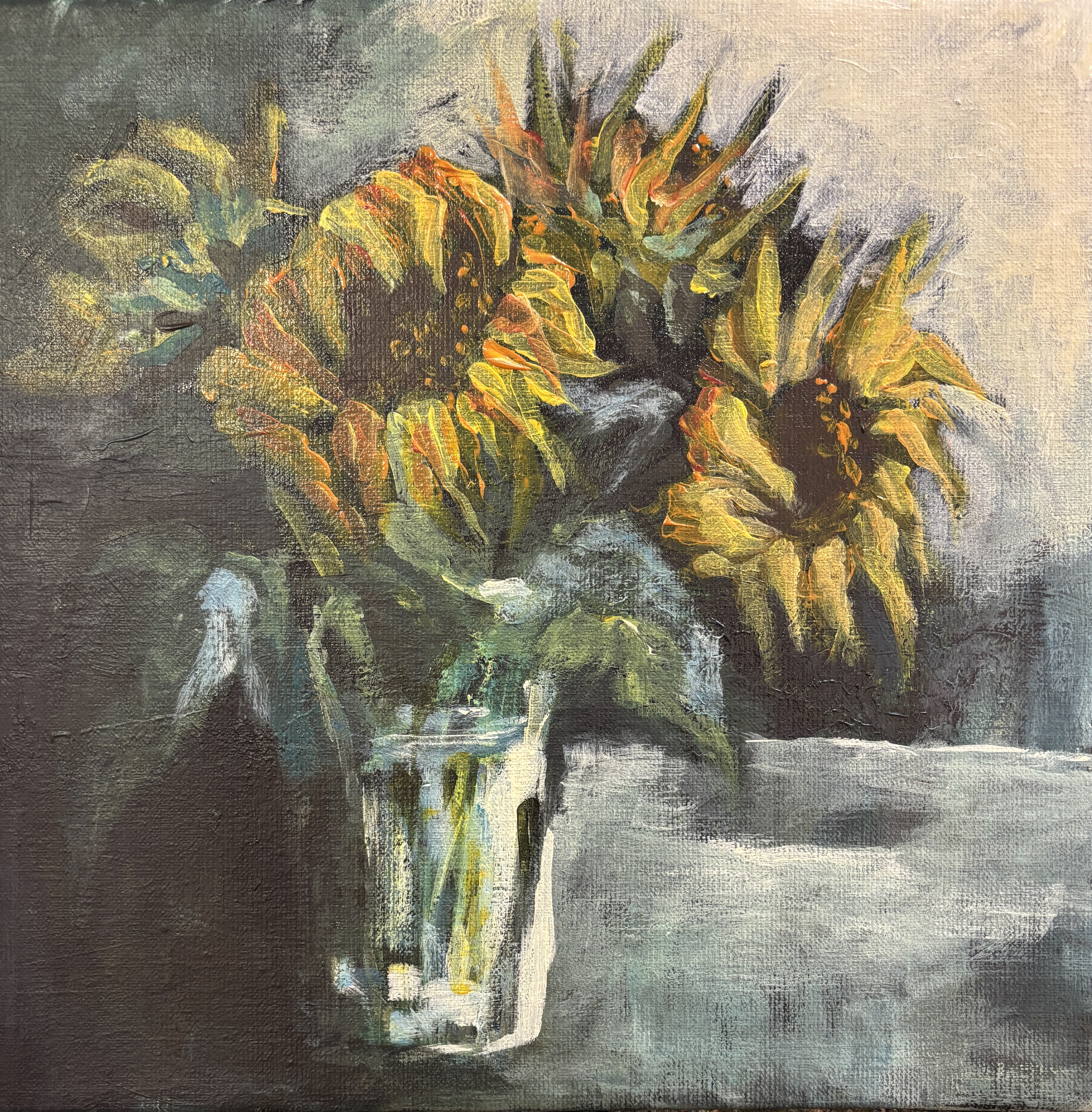 MH_Ud af skygge solsikke